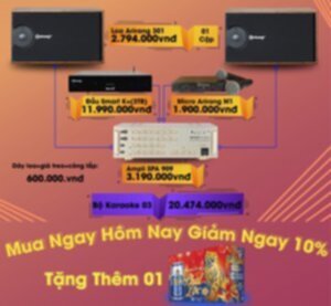 Dàn karaoke gia đình: nhỏ gọn, hiệu quả