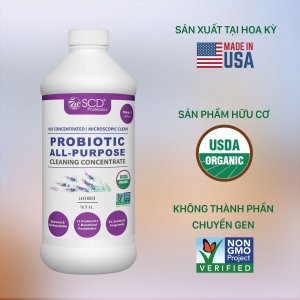 Làm sạch, xử lý mùi nội thất ô tô bằng giải pháp của Công nghệ sinh học SCD Probiotics (Mỹ)