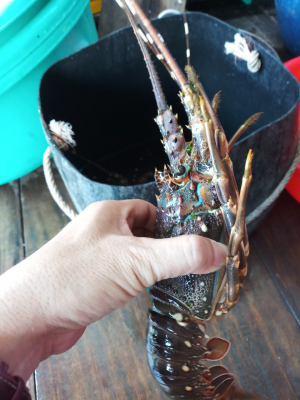 Chuyến đi Ninh Thuận 3 ngày 2 đêm dịp lễ 02/9 Chuyến đi Ninh Thuận 3 ngày 2 đêm dịp lễ 02/9