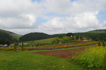 Cung đường chữa lành, Phan Rang - Đà Lạt hè 2024