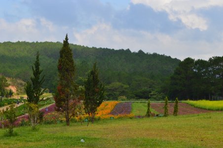 Cung đường chữa lành, Phan Rang - Đà Lạt hè 2024