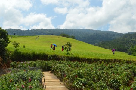 Cung đường chữa lành, Phan Rang - Đà Lạt hè 2024