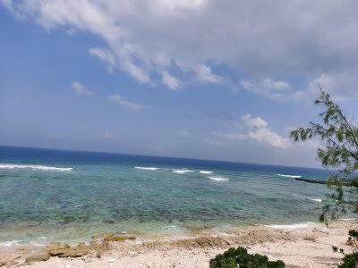 Ba ơi mình đi đâu thế? Mùa hè này: lần đầu ra Bắc, sống chậm ở đảo Lý Sơn, phá đảo ẩm thực Huế... Ba ơi mình đi đâu thế? Mùa hè này: lần đầu ra Bắc, sống chậm ở đảo Lý Sơn, phá đảo ẩm thực Huế...