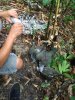 Airgun, niềm đam mê của phái mạnh!