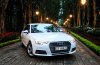 Vẻ đẹp Audi A4 khi kết hợp với sự lãng mạn của Đà Lạt