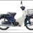 Cub 81