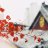Ngoc_Bich