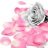 rosa_truong
